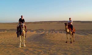 Kamelreiten in Makadi Bay: Reiten am Strand oder in der Wüste